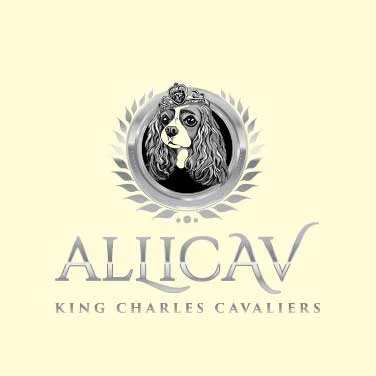 Custom logo design sample
