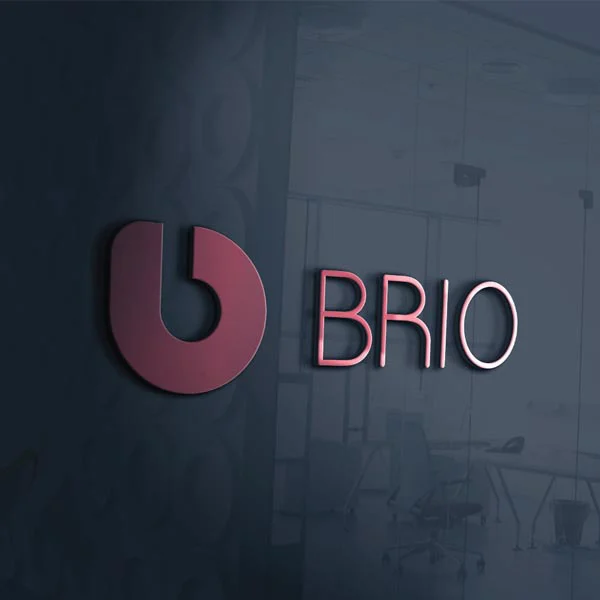 Custom logo design sample